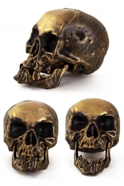 Skeleton head Ornamental skull gold