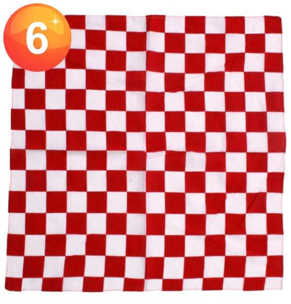 bandana handkerchief red white checkered