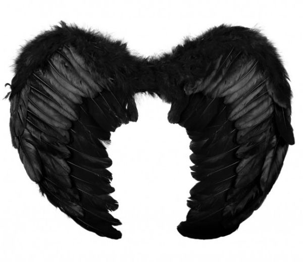 Angel wings black
