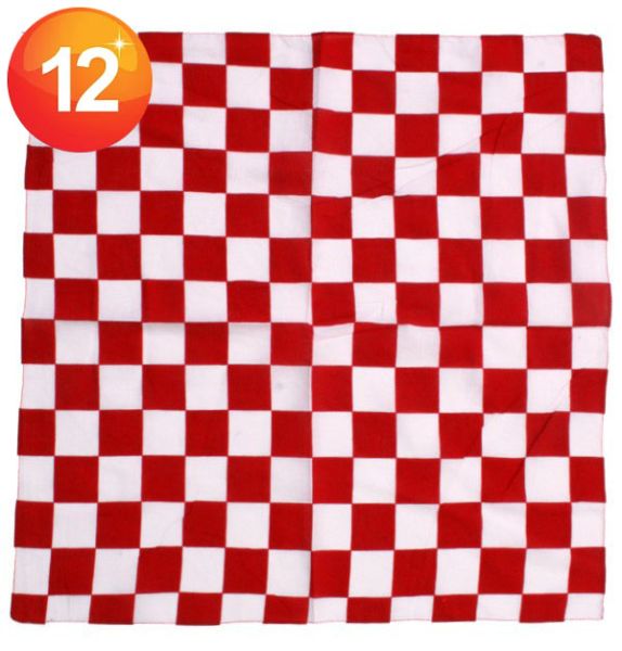 bandana handkerchief red white checkered